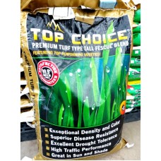 Grass Seed - Assorted Sizes